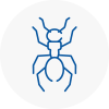 Ant Removals In Rochester