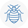 Bed Bug Extermination In Rochester