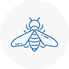 Bee Nest Removal Rochester