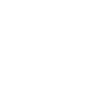 Domestic Ant Control For Rochester