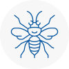 Rochester Hornet Nest Removals