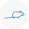 Mice Exterminators In Rochester