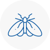 Moth Control Specialists In Rochester