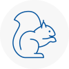 Rochester Rodent Removals