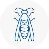 Rochester Wasp Nest Removal